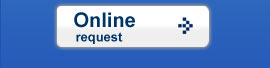 Online credit request